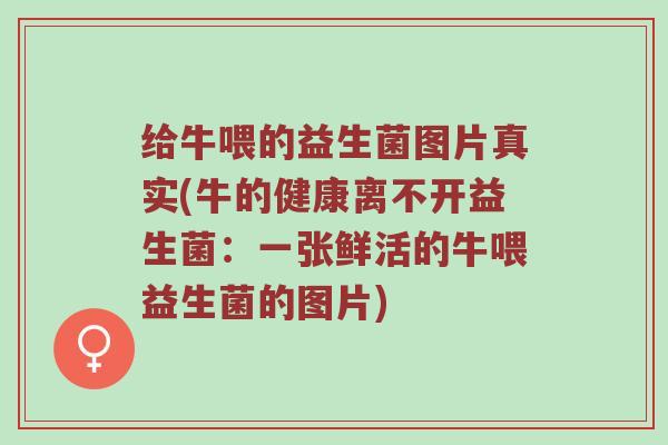 给牛喂的益生菌图片真实(牛的健康离不开益生菌：一张鲜活的牛喂益生菌的图片)