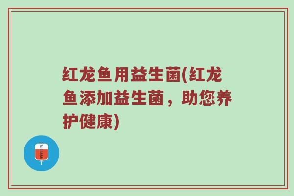 红龙鱼用益生菌(红龙鱼添加益生菌，助您养护健康)