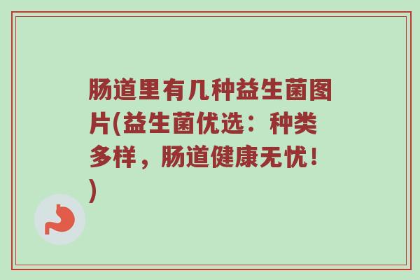 肠道里有几种益生菌图片(益生菌优选：种类多样，肠道健康无忧！)