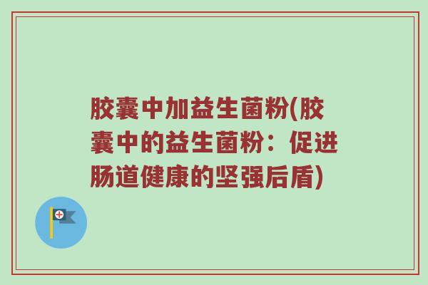 胶囊中加益生菌粉(胶囊中的益生菌粉：促进肠道健康的坚强后盾)