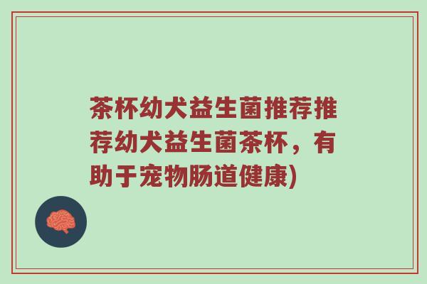 茶杯幼犬益生菌推荐推荐幼犬益生菌茶杯，有助于宠物肠道健康)