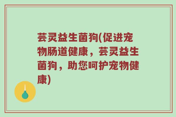 芸灵益生菌狗(促进宠物肠道健康,芸灵益生菌狗,助您呵护宠物健康) 芸灵益生菌狗(促进宠物肠道健康,芸灵益生菌狗,助您呵护宠物健康)