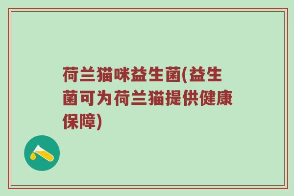 荷兰猫咪益生菌(益生菌可为荷兰猫提供健康保障)