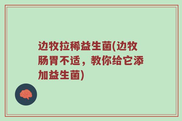 边牧拉稀益生菌(边牧肠胃不适，教你给它添加益生菌)