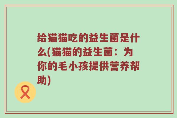 给猫猫吃的益生菌是什么(猫猫的益生菌：为你的毛小孩提供营养帮助)