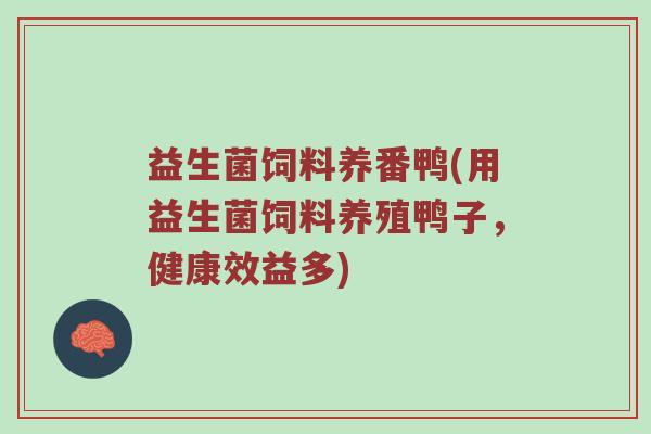 益生菌饲料养番鸭(用益生菌饲料养殖鸭子，健康效益多)