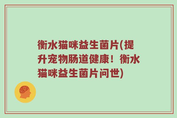 衡水猫咪益生菌片(提升宠物肠道健康！衡水猫咪益生菌片问世)