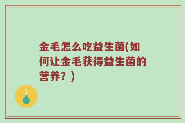 金毛怎么吃益生菌(如何让金毛获得益生菌的营养？)