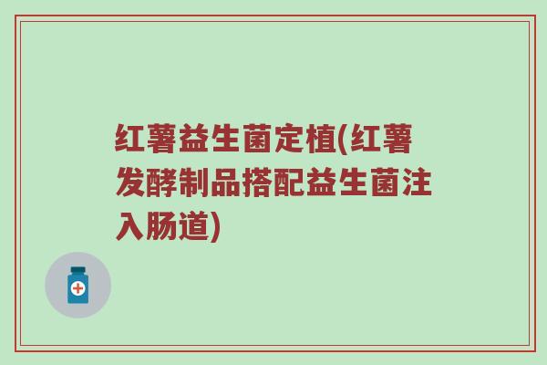 红薯益生菌定植(红薯发酵制品搭配益生菌注入肠道)