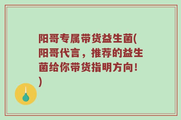 阳哥专属带货益生菌(阳哥代言，推荐的益生菌给你带货指明方向！)