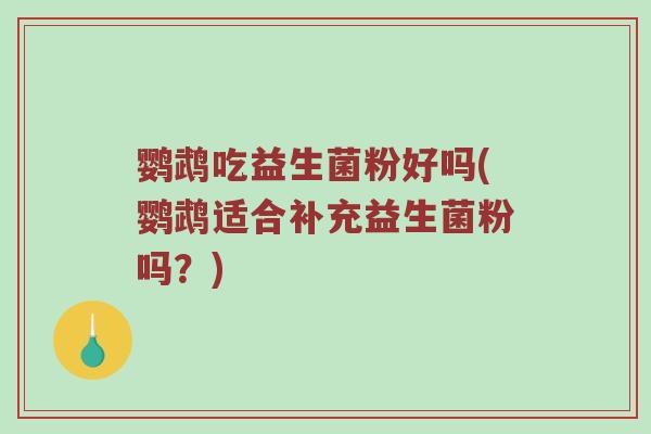 鹦鹉吃益生菌粉好吗(鹦鹉适合补充益生菌粉吗？)