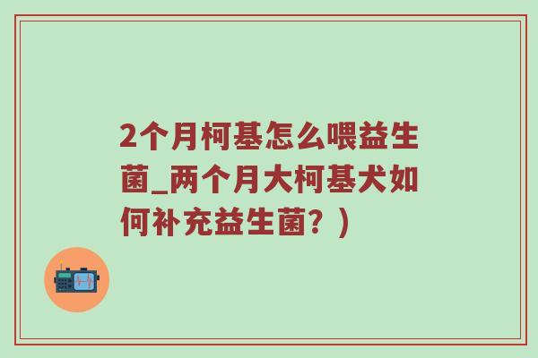 2个月柯基怎么喂益生菌_两个月大柯基犬如何补充益生菌？)