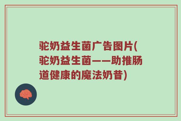 驼奶益生菌广告图片(驼奶益生菌——助推肠道健康的魔法奶昔)