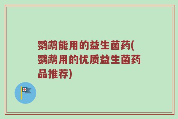 鹦鹉能用的益生菌药(鹦鹉用的优质益生菌药品推荐)