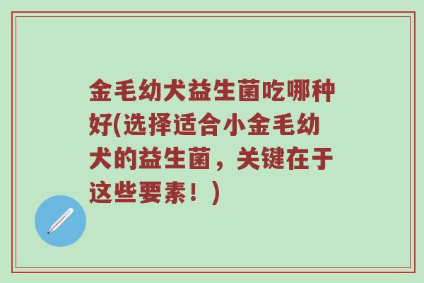 金毛幼犬益生菌吃哪种好(选择适合小金毛幼犬的益生菌，关键在于这些要素！)