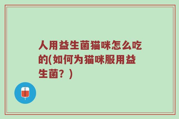 人用益生菌猫咪怎么吃的(如何为猫咪服用益生菌？)