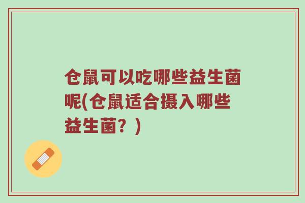 仓鼠可以吃哪些益生菌呢(仓鼠适合摄入哪些益生菌？)