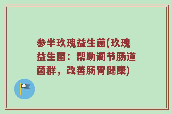 参半玖瑰益生菌(玖瑰益生菌：帮助调节肠道菌群，改善肠胃健康)