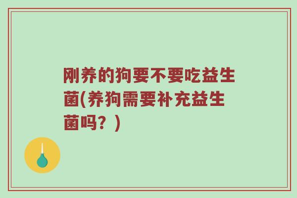 刚养的狗要不要吃益生菌(养狗需要补充益生菌吗？)