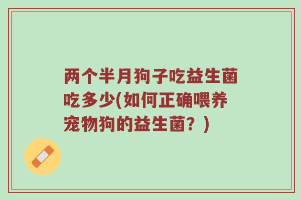 两个半月狗子吃益生菌吃多少(如何正确喂养宠物狗的益生菌？)