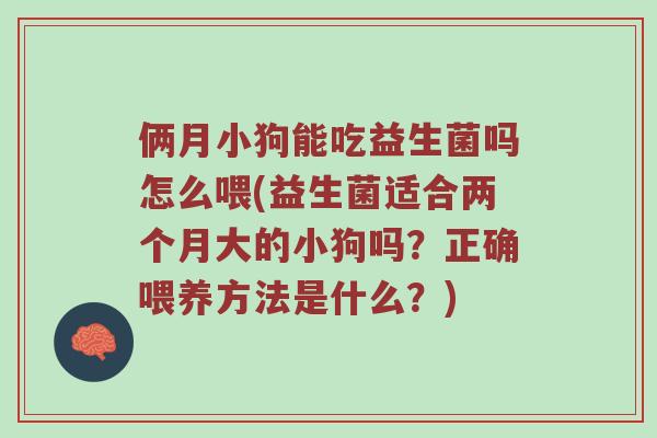 俩月小狗能吃益生菌吗怎么喂(益生菌适合两个月大的小狗吗？正确喂养方法是什么？)
