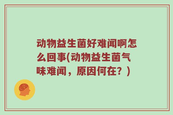动物益生菌好难闻啊怎么回事(动物益生菌气味难闻，原因何在？)