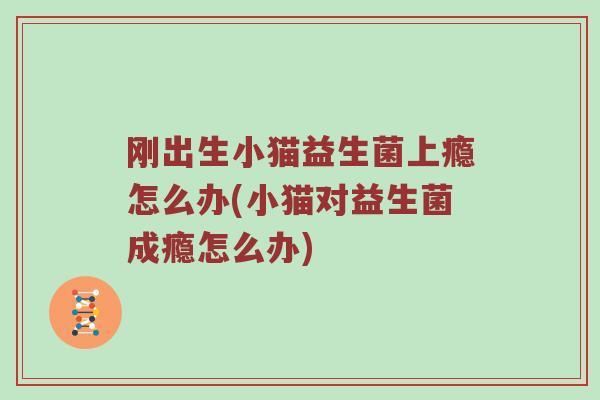 刚出生小猫益生菌上瘾怎么办(小猫对益生菌成瘾怎么办)