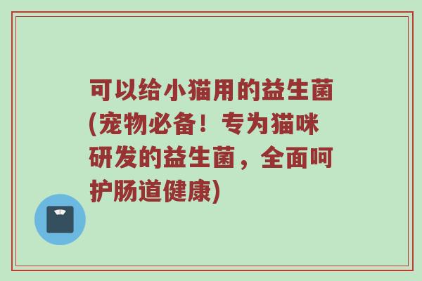 可以给小猫用的益生菌(宠物必备！专为猫咪研发的益生菌，全面呵护肠道健康)