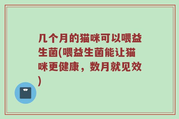 几个月的猫咪可以喂益生菌(喂益生菌能让猫咪更健康，数月就见效)