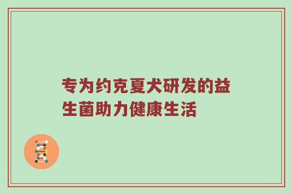 专为约克夏犬研发的益生菌助力健康生活