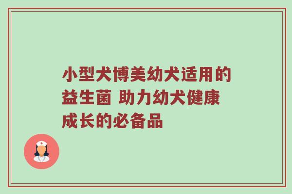 小型犬博美幼犬适用的益生菌 助力幼犬健康成长的必备品