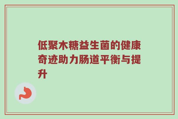 低聚木糖益生菌的健康奇迹助力肠道平衡与提升