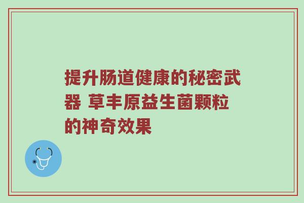 提升肠道健康的秘密武器 草丰原益生菌颗粒的神奇效果