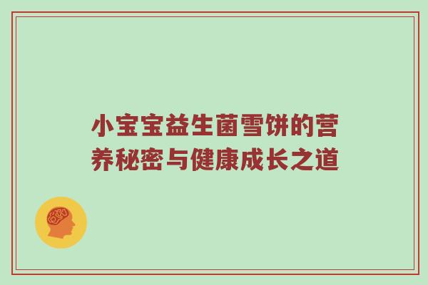 小宝宝益生菌雪饼的营养秘密与健康成长之道