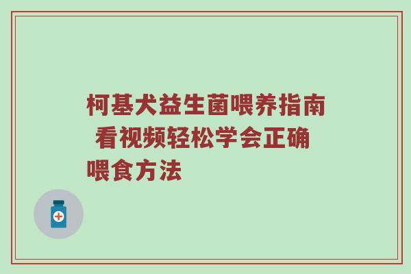 柯基犬益生菌喂养指南 看视频轻松学会正确喂食方法