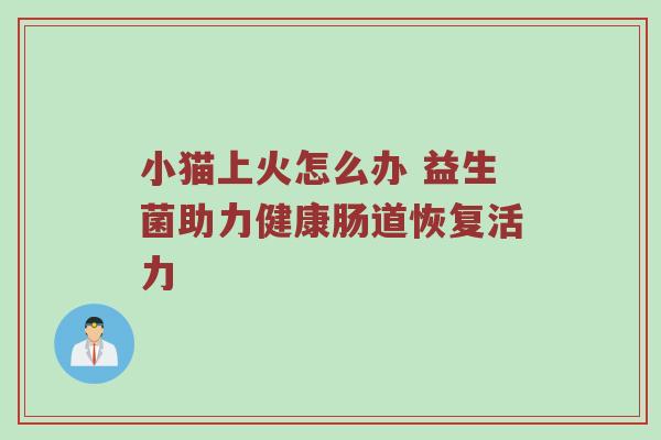 小猫上火怎么办 益生菌助力健康肠道恢复活力