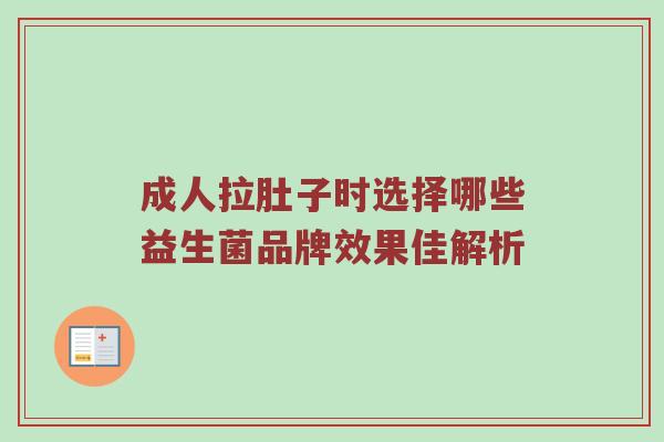 成人拉肚子时选择哪些益生菌品牌效果佳解析