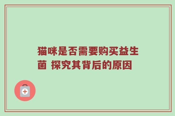 猫咪是否需要购买益生菌 探究其背后的原因
