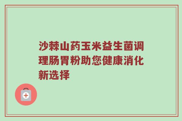 沙棘山药玉米益生菌调理肠胃粉助您健康消化新选择