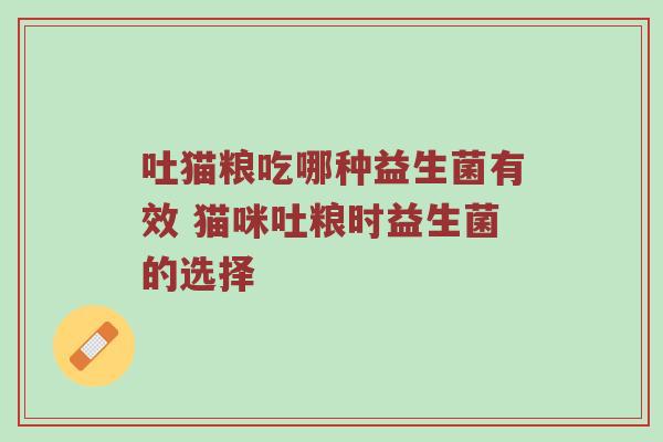 吐猫粮吃哪种益生菌有效 猫咪吐粮时益生菌的选择