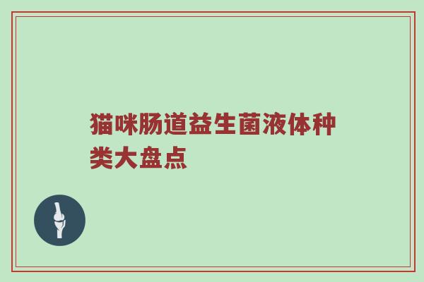 猫咪肠道益生菌液体种类大盘点