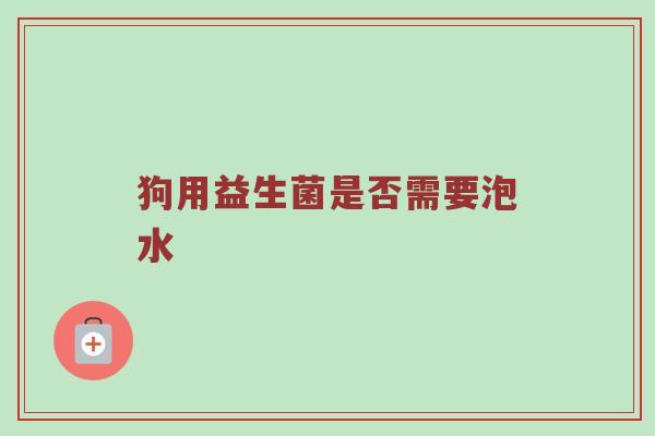 狗用益生菌是否需要泡水