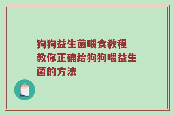 狗狗益生菌喂食教程 教你正确给狗狗喂益生菌的方法