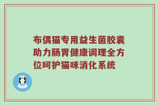 布偶猫专用益生菌胶囊助力肠胃健康调理全方位呵护猫咪消化系统