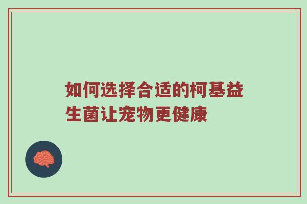 如何选择合适的柯基益生菌让宠物更健康