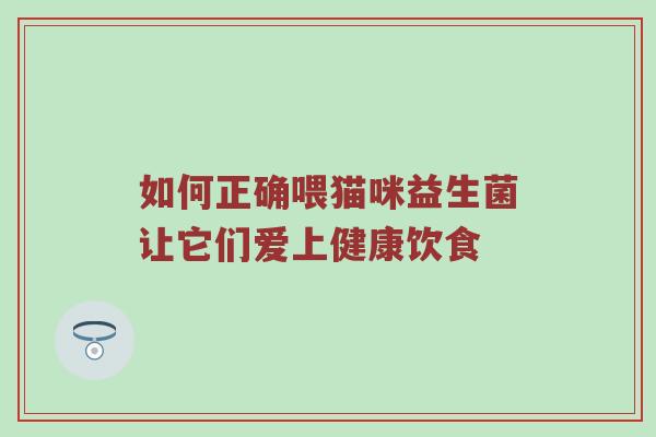 如何正确喂猫咪益生菌让它们爱上健康饮食