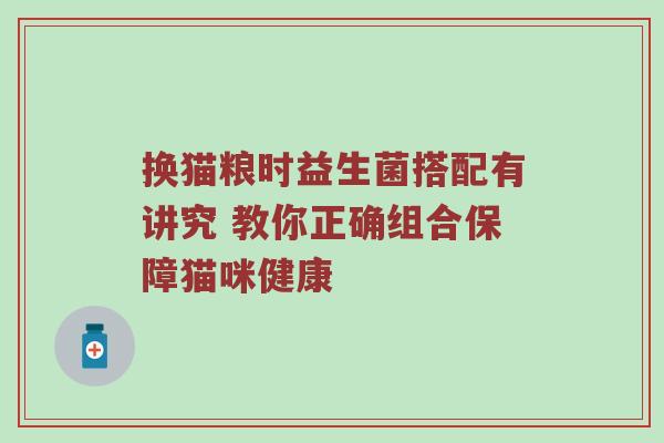换猫粮时益生菌搭配有讲究 教你正确组合保障猫咪健康