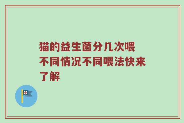 猫的益生菌分几次喂 不同情况不同喂法快来了解