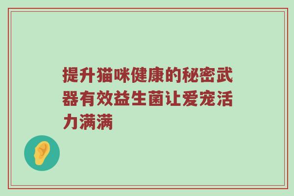 提升猫咪健康的秘密武器有效益生菌让爱宠活力满满