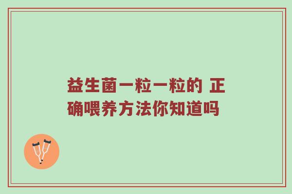 益生菌一粒一粒的 正确喂养方法你知道吗